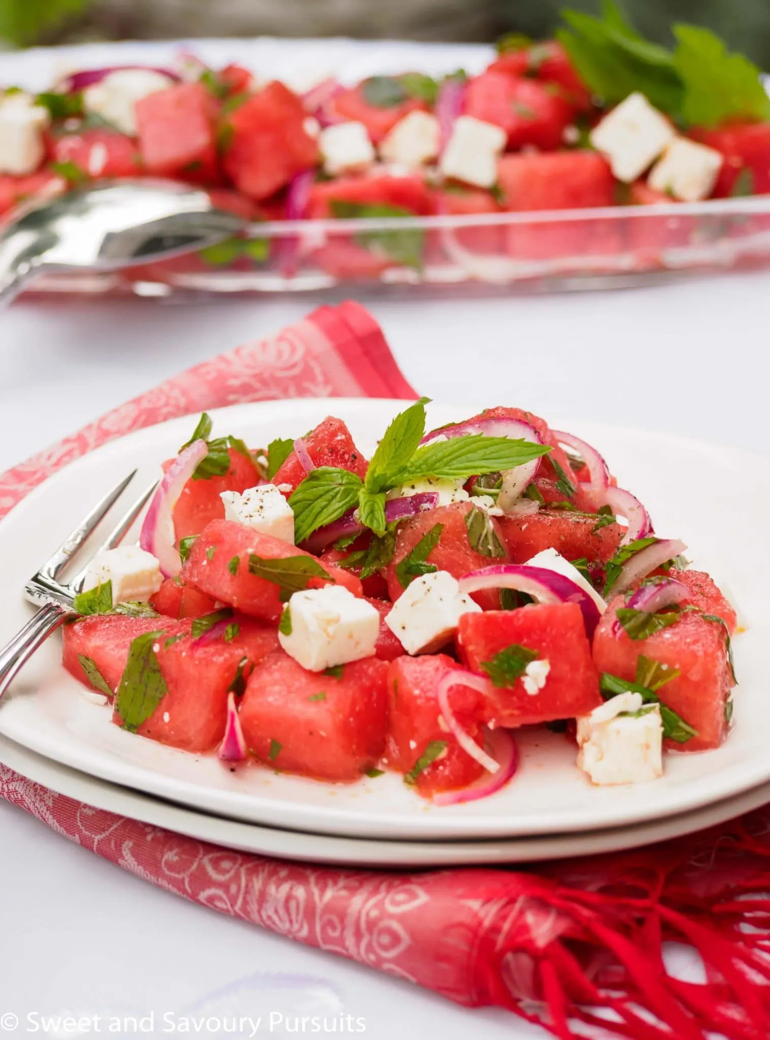 Plate of Watermelon Salad with fresh mint.