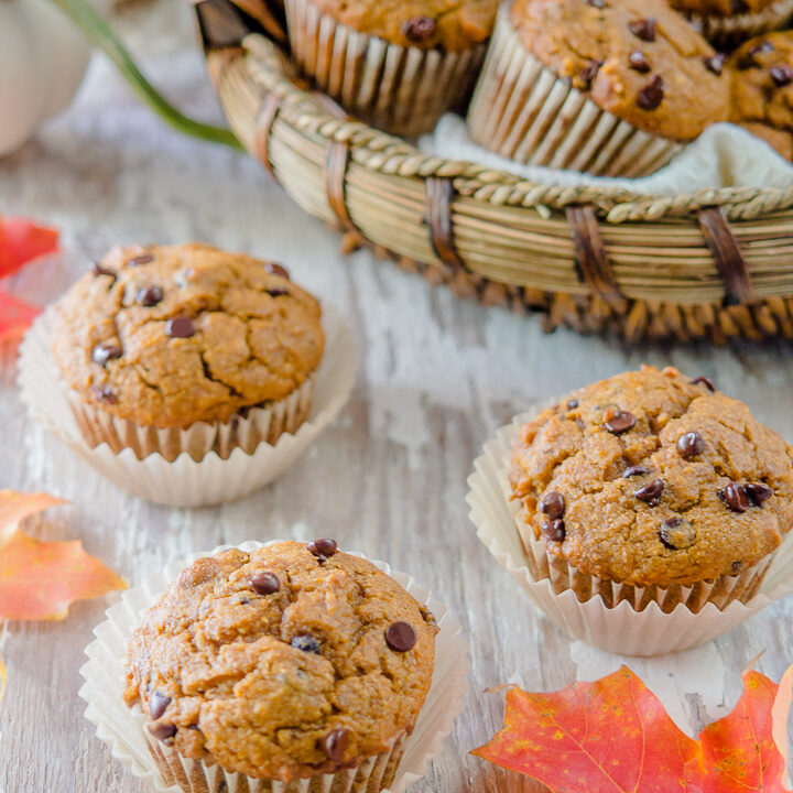 Whole Wheat Pumpkin Chocolate Chip Muffins Sweet and Savoury Pursuits