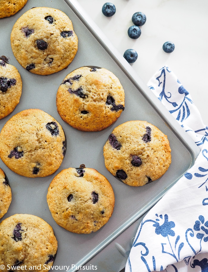 Whole Wheat Blueberry Lemon Muffins still in baking tray.