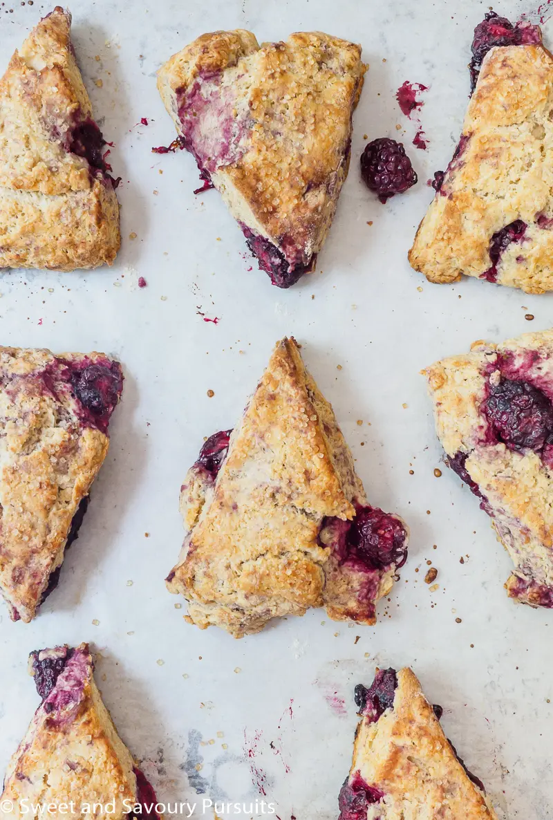 Baking tray of freshly baked Blackberry Scones.