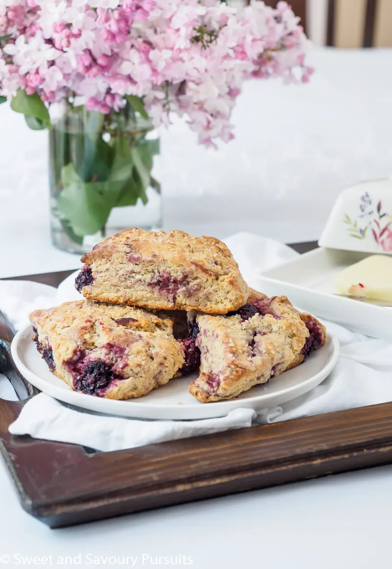 Plate of Blackberry Scones spiced with vanilla and just a hint of cinnamon.