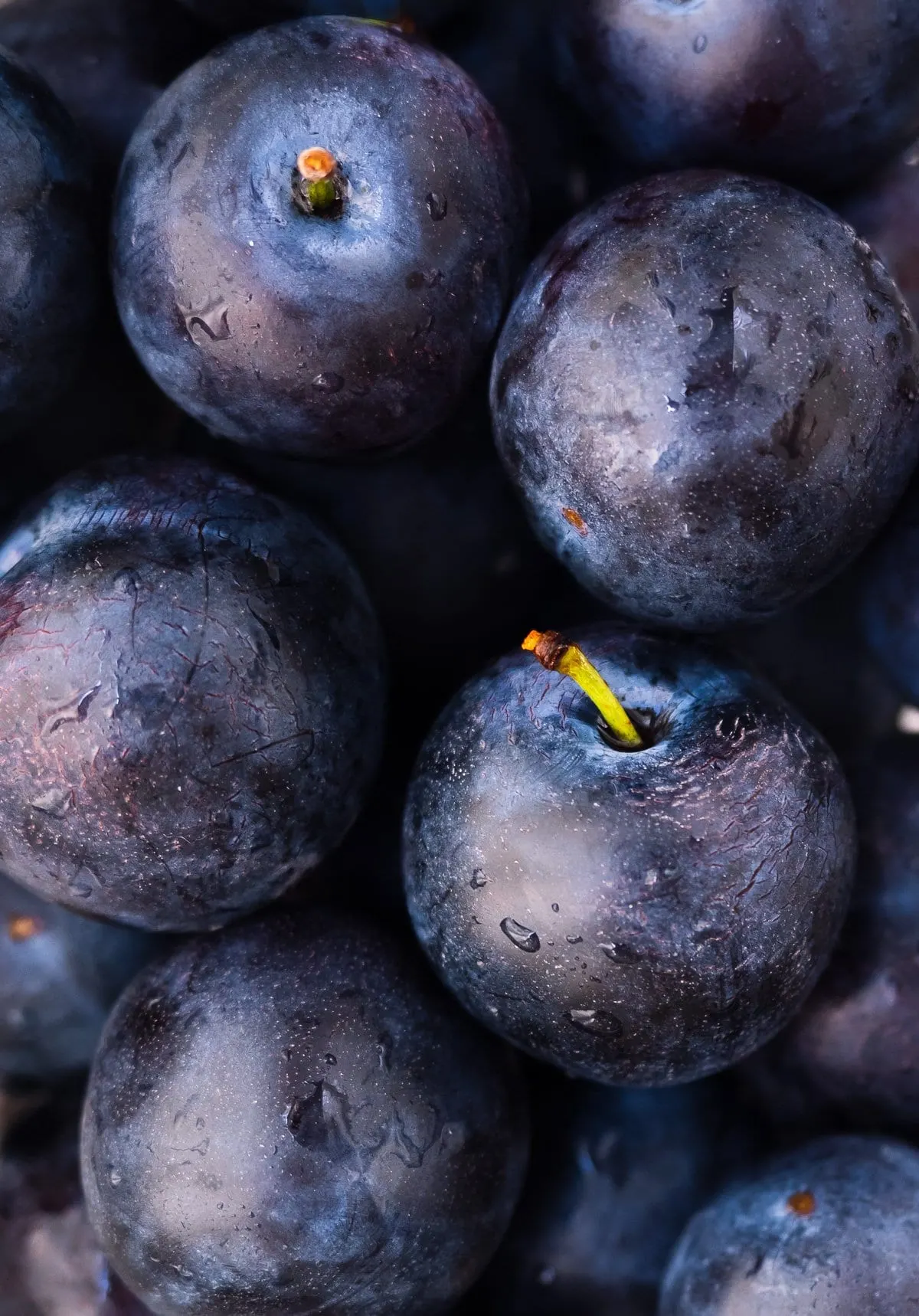 Close-up image of fresh plums.