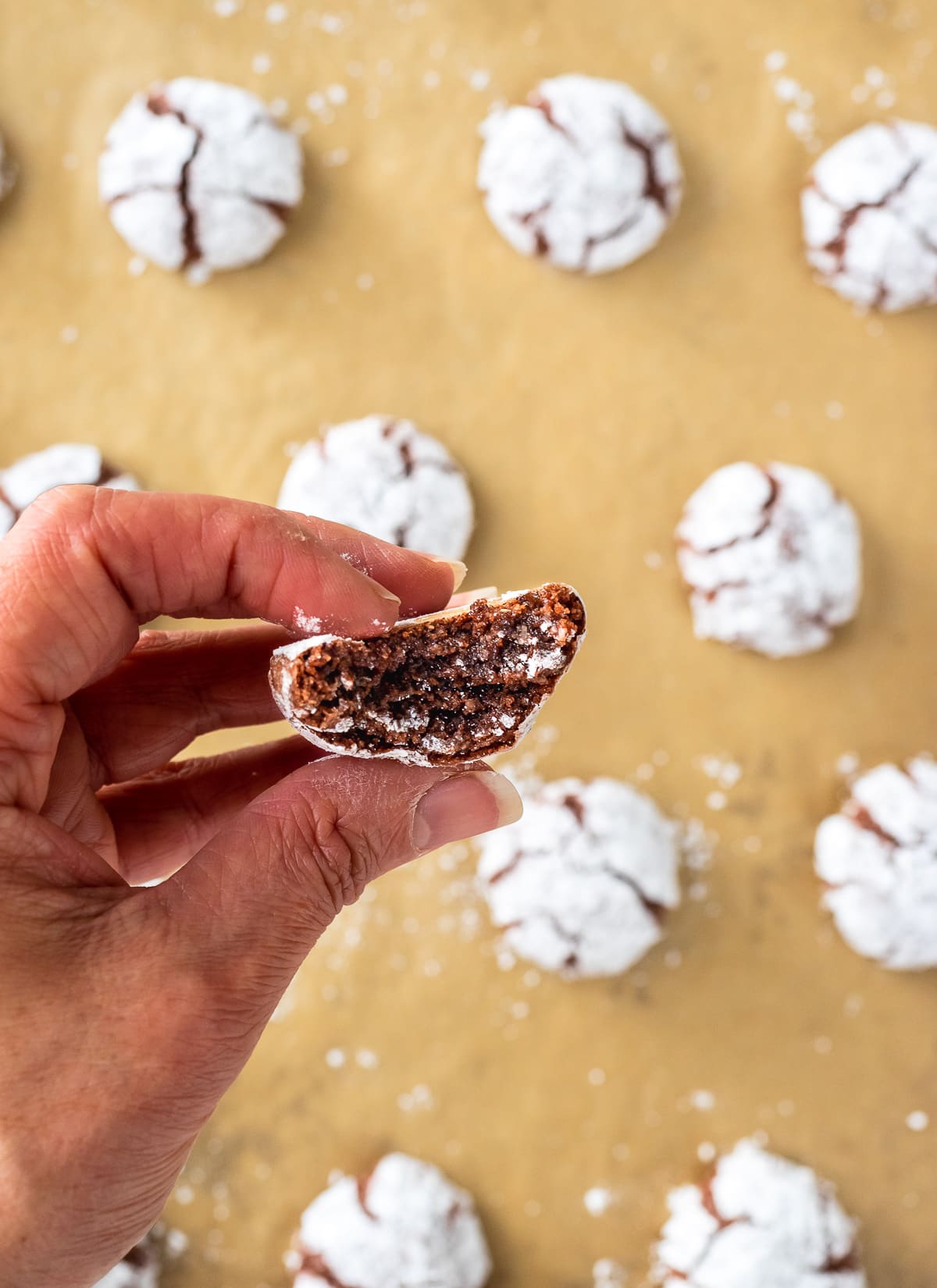 Chocolate amaretti cookie cut in half with inside of cookie exposed to show texture.