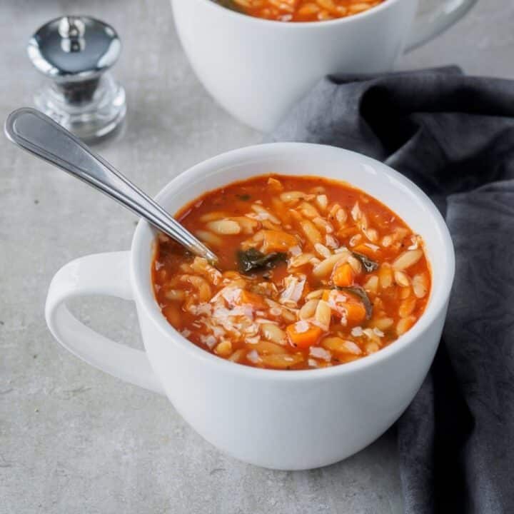 Bowl of tomato orzo soup.
