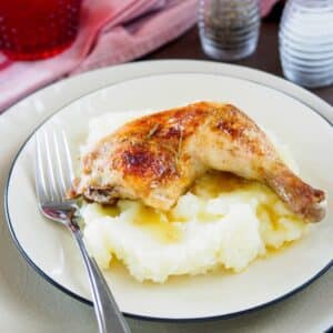 Plate of roasted chicken leg over mashed potatoes.